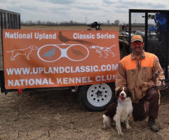 Albert- AKC English Springer Spaniels