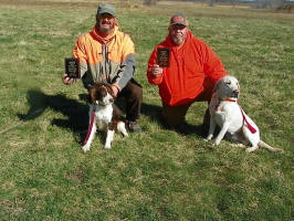 Albert- AKC English Springer Spaniels