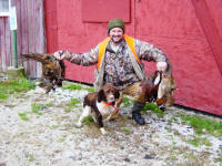 Ella English Springer Spaniels