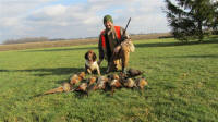 Ella English Springer Spaniels