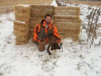 Ella English Springer Spaniels