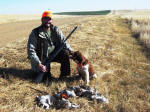 Ohio English Springer Spaniels