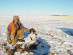 English Springer Spaniels