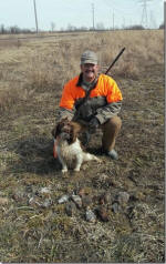 English Springer Spaniels