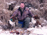 Ohio English Springer Spaniels