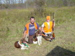 English Springer Spaniels