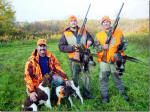 English Springer Spaniels