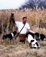 Ohio English Springer Spaniels hunt