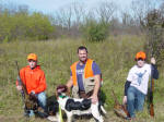 English Springer Spaniels