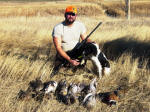 Ohio English Springer Spaniels