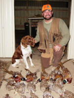 Ohio English Springer Spaniels