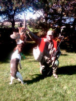 English Springer Spaniels hunt