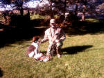 English Springer Spaniels hunt