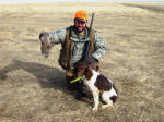 Ohio English Springer Spaniels