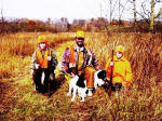 English Springer Spaniels hunt