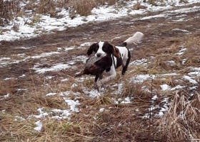 Dakota Springer in South Dakota