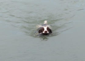 Dakota Springer in South Dakota