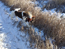 Dakota Springer in South Dakota