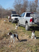 Dakota Springer