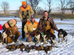 Ohio English Springer Spaniels