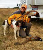 English Springer Spaniels